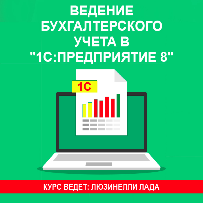 Ведение бухгалтерского учета в «1С:Предприятие 8» (1С:Бухгалтерия для начинающих)